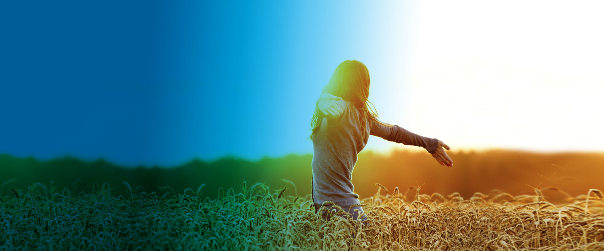 專業(yè)高性能塑料供應(yīng)商